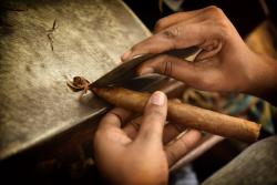 A Unique Programme to Celebrate The 20th Anniversary of The Habanos Festival