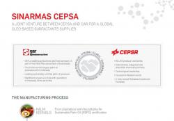 Sinarmas Cepsa Starts up Production at EUR 300 Million Vegetable-Based Alcohols Plant in Indonesia